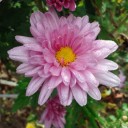 2012年10月10日（水）