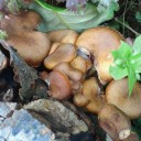 2012年10月10日（水）