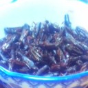 昨日の夕食