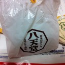 Return to Toyokawa
