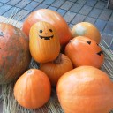 秋晴れの一日