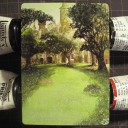 拡張アート(Altered card)：森/Forest / RtR / Yeong-Hao Han