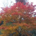 １０月２０日