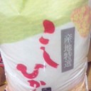 今年も