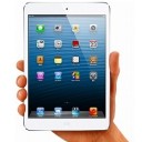 「iPad mini」