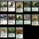 RtR ドラフト 11-13回目