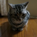 同梱の罠