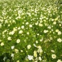公園の休日