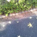 星が落ちて