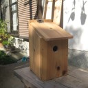 ワクワクしてます、小鳥の巣箱編