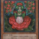 アマリリスデッキについての解説やら