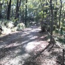 吾妻山公園