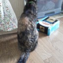 晴れへの扉。(^_^;)