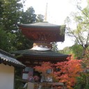 お出かけ　奈良・円成寺