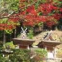 お出かけ　奈良・円成寺