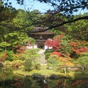 お出かけ　奈良・円成寺