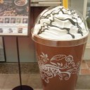 カモネギかもね