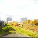 11月10日の日記