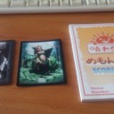 FNM　カメクラ宇部11/9
