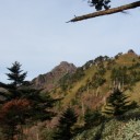 やっと登った！