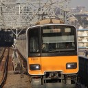 多彩