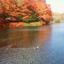 紅葉の軽井沢