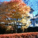 紅葉の軽井沢