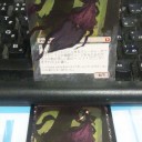 【拡張アート】死滅都市の執政