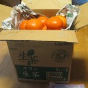 今年も　柿　届く！