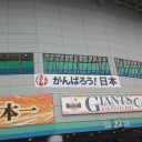 ジャイアンツファンフェスタ
