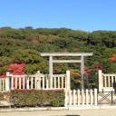 隣りの陵