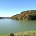 隣りの陵