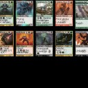 RtR ドラフト 23回目