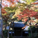 11月28日の日記