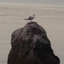 プチ１人旅