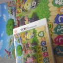 どうぶつの森を買えた、が…