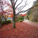 諸々の話(12/2)