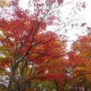 温泉旅行1日目