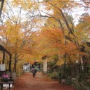 黄葉の長寿寺へ