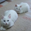 ニ･･･、ニムト!?　土日が消滅する呪文!?