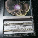 今日のMTG (12/6-2012)