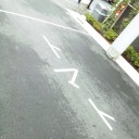 久々に揺れたな・・・