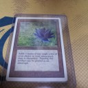 GP1日目