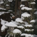 名古屋、１２月上旬としては１６年ぶりの積雪！