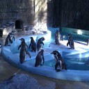 木曜　〓腰と動物と〓