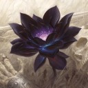 伝説の＜ブラックロータス＞
