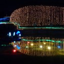 まんのう公園を堪能