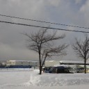 天気はいいけど寒い。