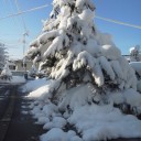 来年の予定
