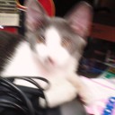 仕事おさめの日です。